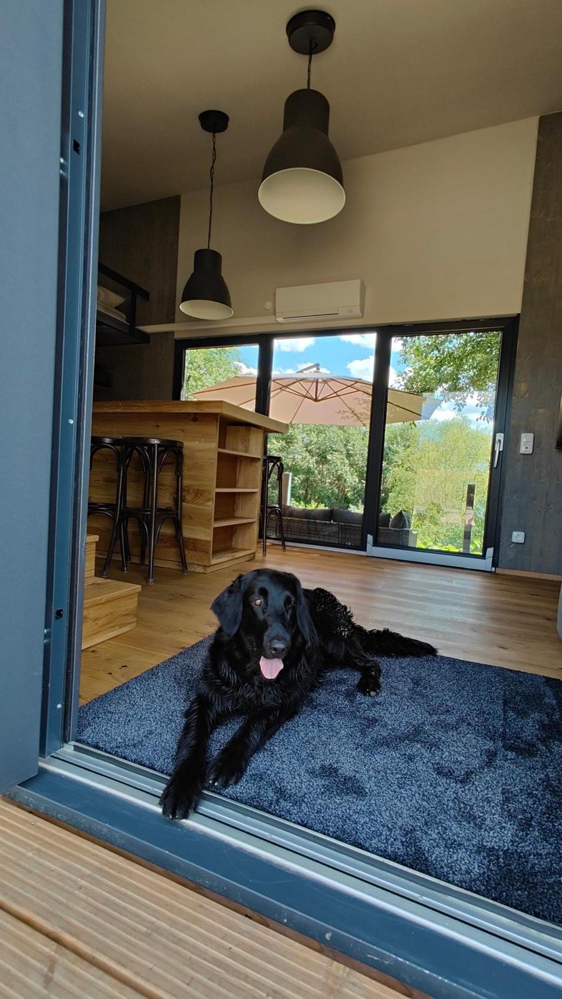 فيلا Tinyhousebeidresden 3 Fuer 2 - 7 Personen, Naehe Saechsische Schweiz, Dresden, Mit Badeteich Großharthau المظهر الخارجي الصورة