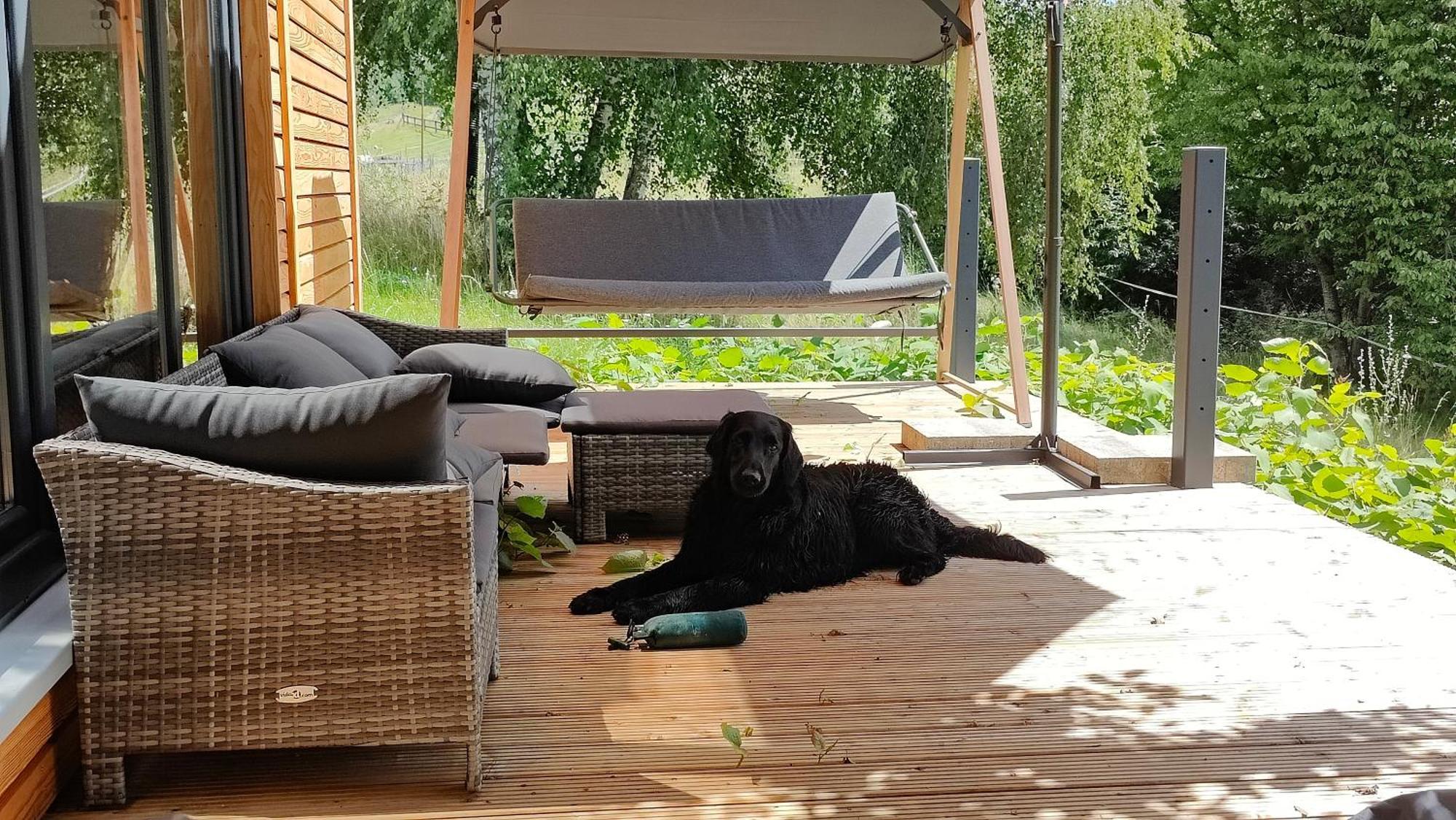 فيلا Tinyhousebeidresden 3 Fuer 2 - 7 Personen, Naehe Saechsische Schweiz, Dresden, Mit Badeteich Großharthau المظهر الخارجي الصورة